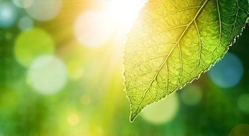 Die 5 meistgestellten Fragen (FAQ) zu Licht und Gesundheit